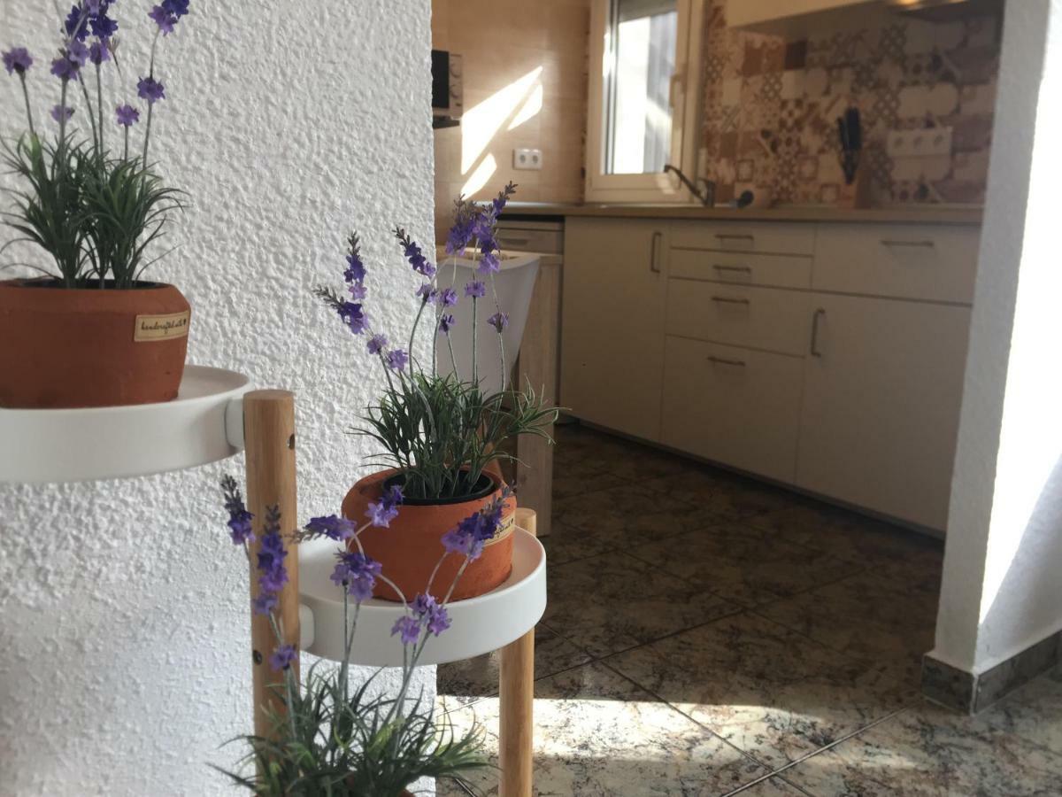 Willa Casa Llurgo Deltebre Zewnętrze zdjęcie